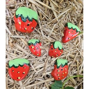 Strawberry Painted Rocks Garden Art‎ Decor Paperweights Set of 6